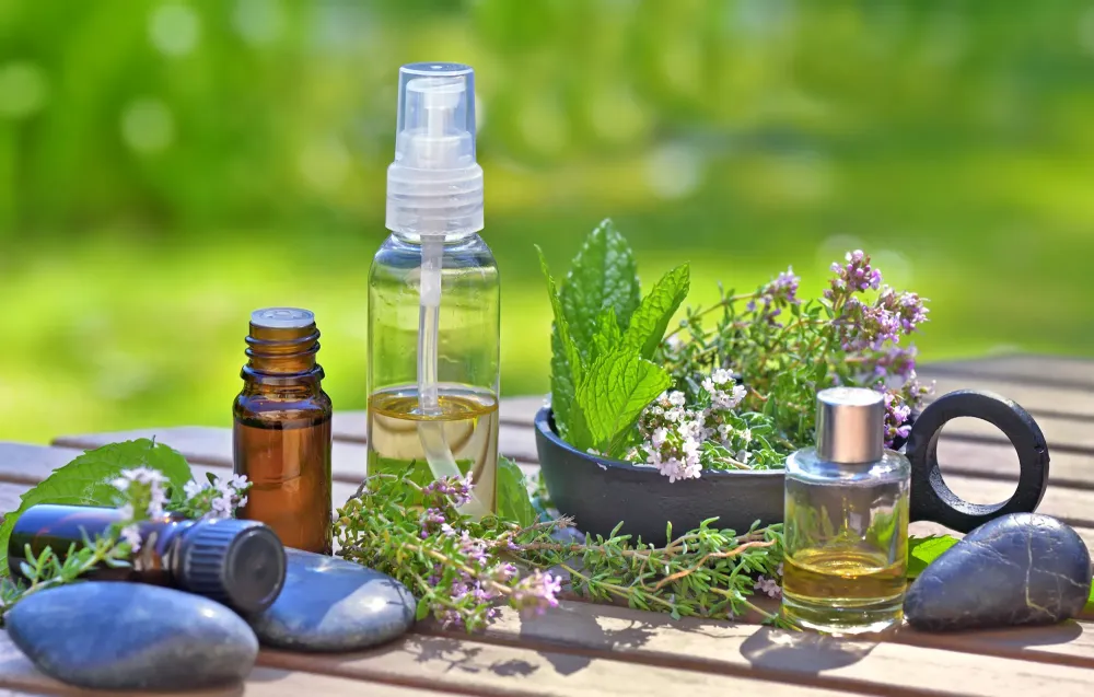 Aromathérapie près de Prissé
